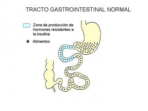 diagrama1